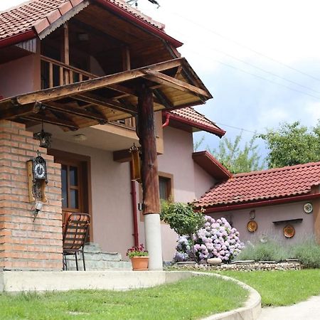 Villa Casa Darius Novaci-Străini Esterno foto