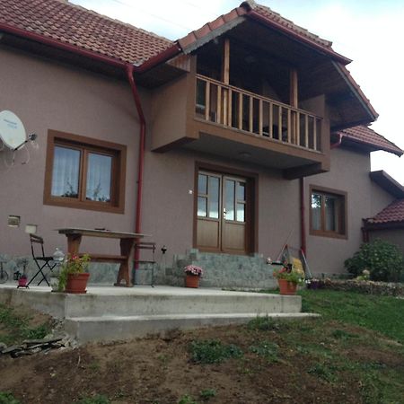 Villa Casa Darius Novaci-Străini Esterno foto