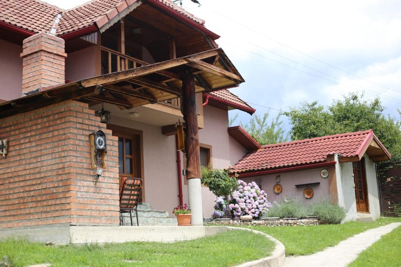 Villa Casa Darius Novaci-Străini Esterno foto