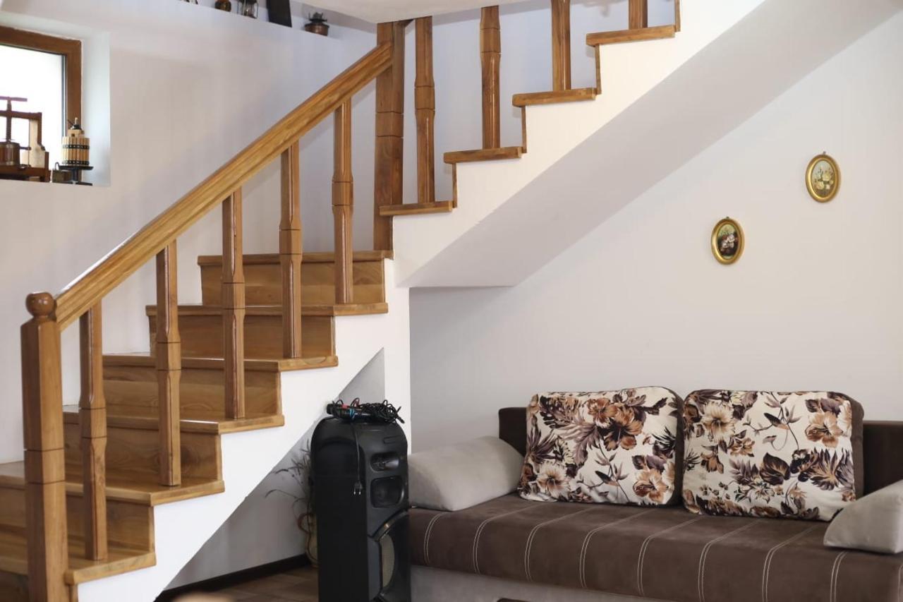 Villa Casa Darius Novaci-Străini Esterno foto