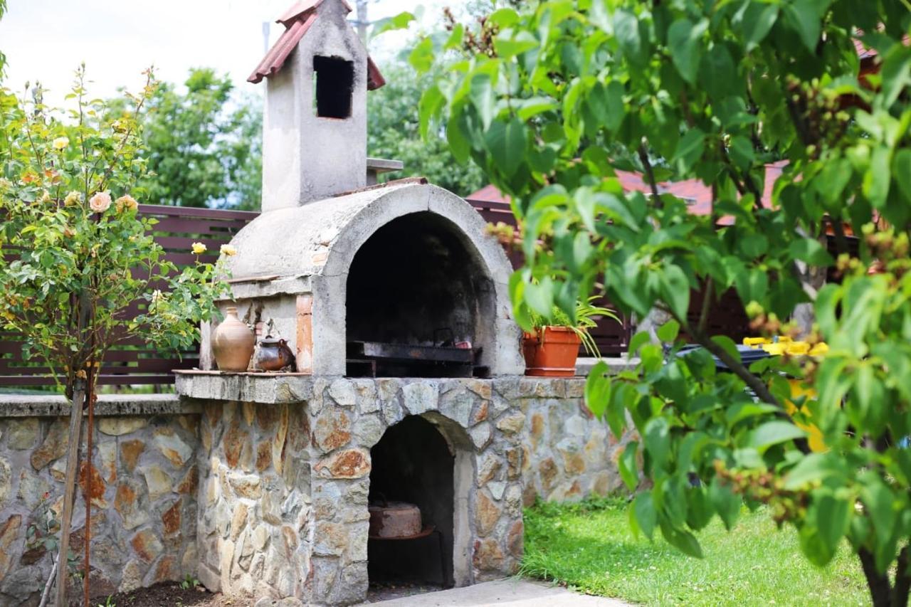 Villa Casa Darius Novaci-Străini Esterno foto
