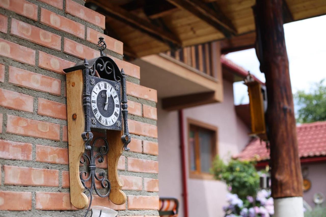 Villa Casa Darius Novaci-Străini Esterno foto