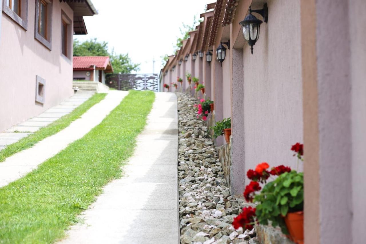 Villa Casa Darius Novaci-Străini Esterno foto