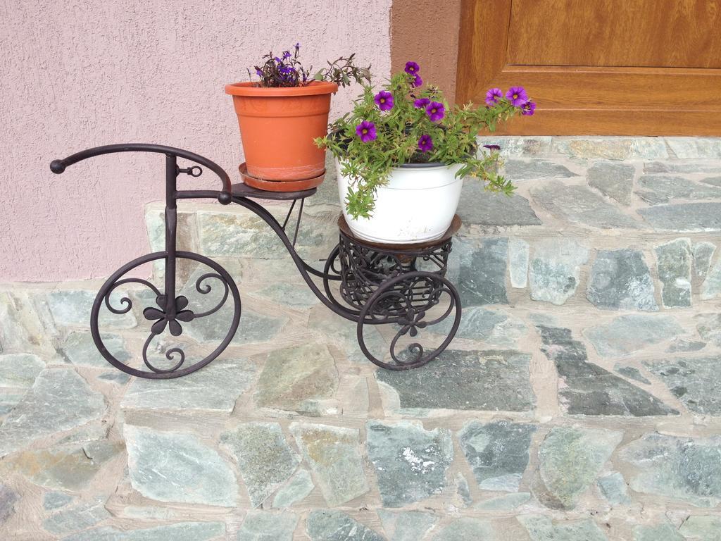 Villa Casa Darius Novaci-Străini Esterno foto