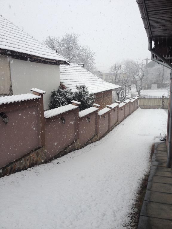 Villa Casa Darius Novaci-Străini Esterno foto
