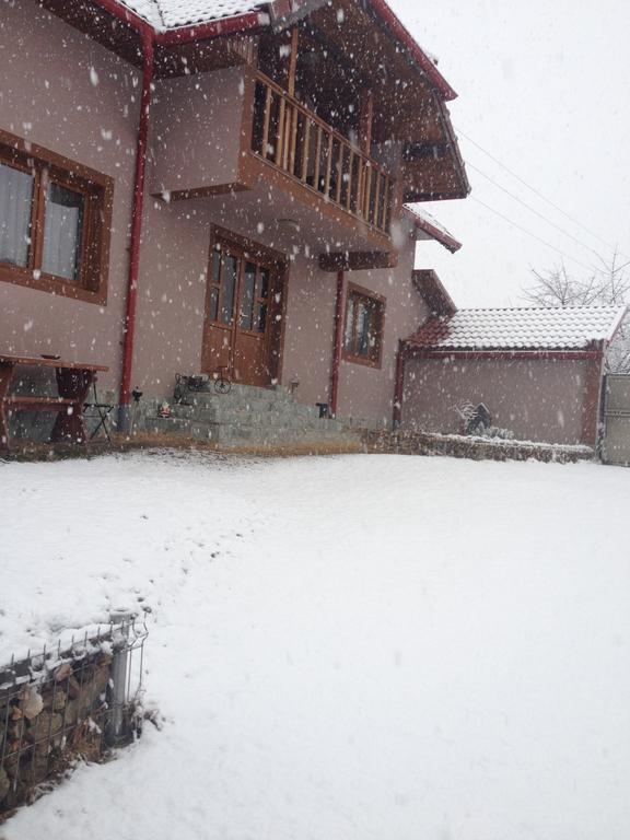 Villa Casa Darius Novaci-Străini Esterno foto