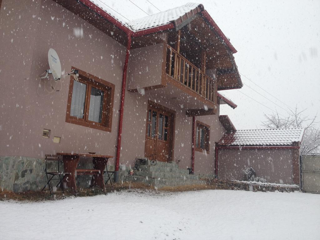 Villa Casa Darius Novaci-Străini Esterno foto